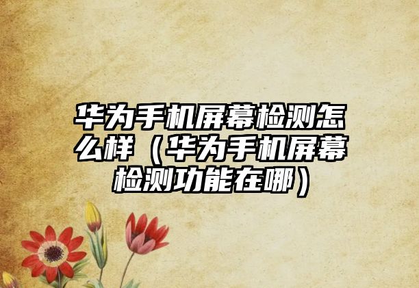 華為手機屏幕檢測怎么樣（華為手機屏幕檢測功能在哪）