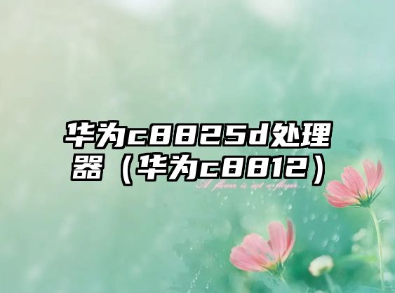 華為c8825d處理器（華為c8812）